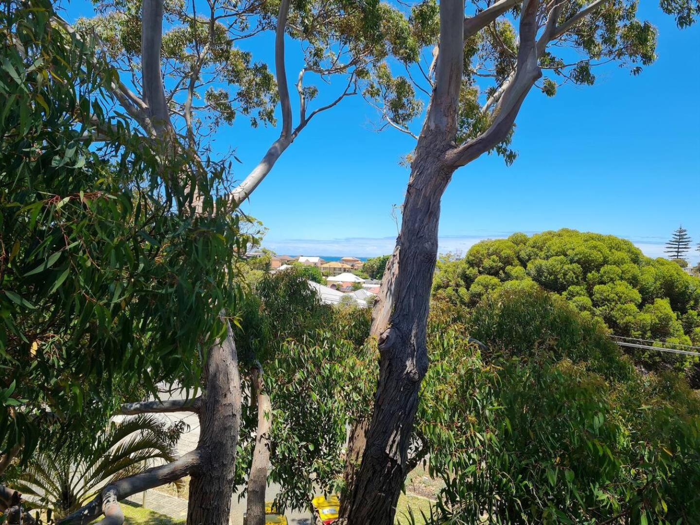 Summer Breeze - Holiday Or Business Apartment Perth Exterior photo